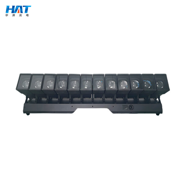 12x60w Thousand-Handed Avalokitesvara